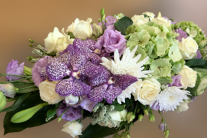 Composition "Coussin"